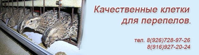 Качественные клетки для перепелов и кур.