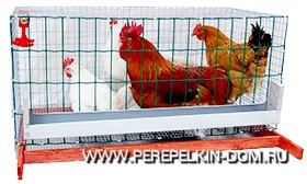 Клетка для разведения кур, бройлеров, гусей, уток и другой домашней птицы.